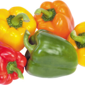 Fresh Seasonal Vegetables