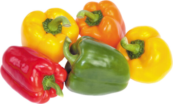 Fresh Seasonal Vegetables